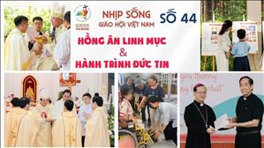 Hồng ân Linh mục & Hành trình Đức tin | NSGHVN số 44
