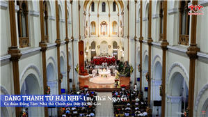 Dâng Thánh Tử Hài Nhi - Lm. Thái Nguyên