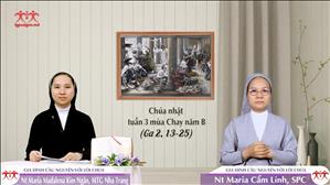 Đem Tất Cả Những Thứ Này Ra Khỏi Đây - Chúa nhật 3 mùa Chay năm B (Ga 2, 13-25)