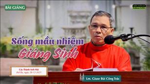 TGPSG Bài giảng ngày 28-12-2021: Các thánh Anh hài lúc 5:30 tại Nhà thờ Chính tòa Đức Bà