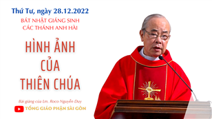 Hình ảnh của Thiên Chúa - Lm. Roco Nguyễn Duy | Các thánh Anh hài