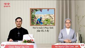 Thầy là cây nho - Thứ Tư tuần 5 Phục sinh (Ga 15, 1-8)