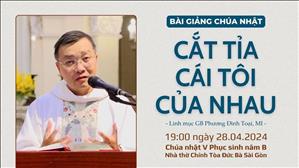 Cắt tỉa cái tôi của nhau - Lm GB Phương Đình Toại, MI | CN V PS năm B