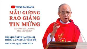 Mẫu gương rao giảng Tin mừng - Lm Rôcô Nguyễn Duy | Thánh Phêrô và thánh Phaolô, Tông đồ
