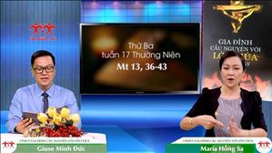 3 phút Gia đình cầu nguyện với Lời Chúa: Thứ Ba tuần 17 Thường Niên (Mt 13, 36-43)