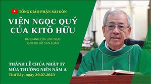 Viên ngọc quý của Kitô hữu - Lm Ignatio Hồ Văn Xuân | CN 17 TN năm A