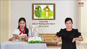 Gia đình cầu nguyện với Lời Chúa: Chúa nhật 17 Thường niên năm A (Mt 13, 44-52)