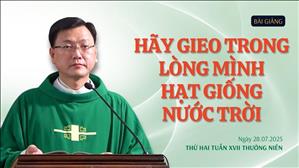 Hãy gieo trong lòng mình hạt giống Nước Trời - Lm Laurensô Hoàng Bá Quốc Huy