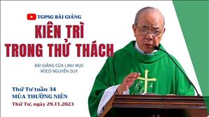 Kiên trì trong thử thách - Lm Rôcô Nguyễn Duy | Thứ Tư tuần 34 TN