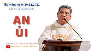 An ủi - Lm. Giuse Hoàng Ngọc Dũng | Thứ Năm tuần Bát nhật Giáng sinh