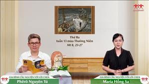 Đức Tin Cần Sự Chất Vấn - Thứ Ba tuần XIII Thường niên (Mt 8, 23-27)