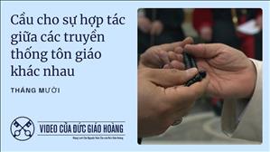 Cầu cho sự hợp tác giữa các truyền thống tôn giáo khác nhau – Video của Đức Giáo Hoàng – Tháng Mười