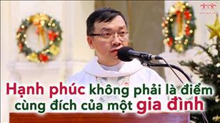 "Hạnh phúc không phải là điểm cùng đích của một gia đình" - Lm. Gioan Bt. Phương Đình Toại, MI