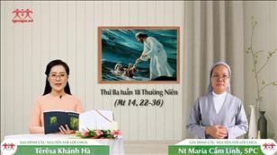 Xin cứu con - Thứ Ba tuần 18 mùa Thường niên (Mt 14, 22-36)