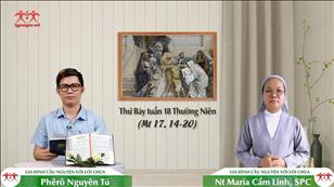 Tại anh em kém tin - Thứ Bảy tuần 18 mùa Thường niên (Mt 17, 14-20)