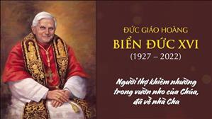ĐGH Biển Đức XVI (1927-2022), người thợ khiêm nhường trong vườn nho của Chúa, đã về nhà Cha