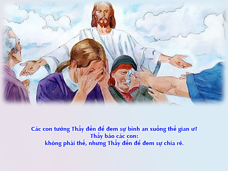 Thánh Kinh bằng hình: Chúa Nhật thứ XX Thường Niên Năm C